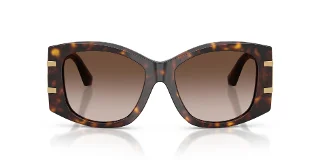 Dolce & Gabbana Sunglasses DG4501