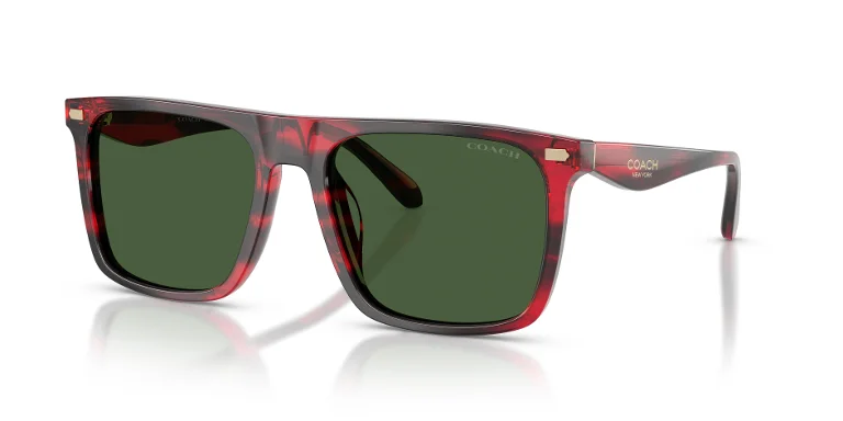 Coach Sunglasses HC8440U