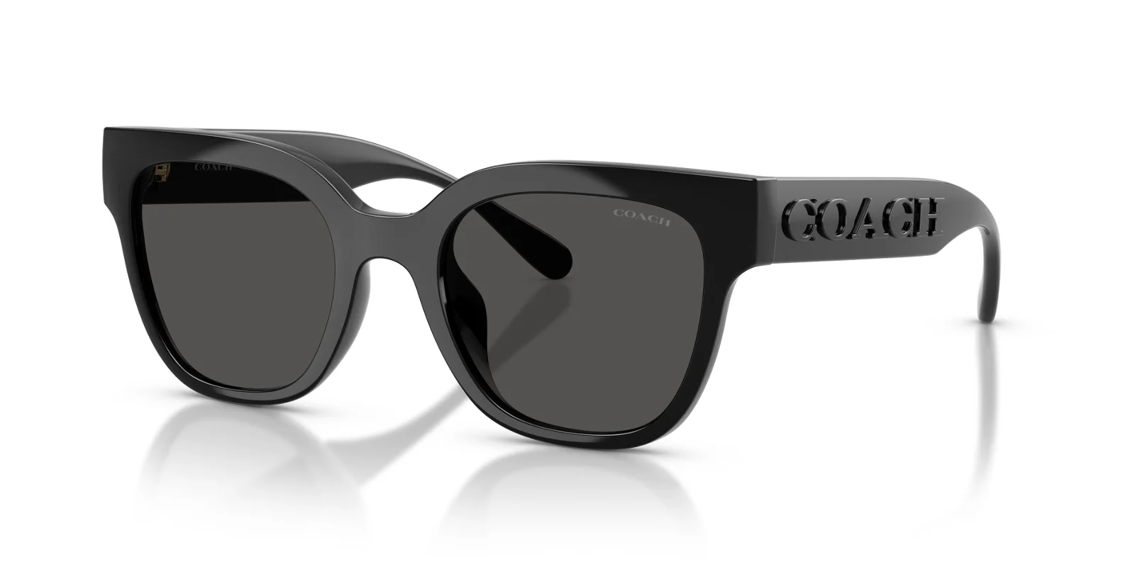 Coach Sunglasses HC8460U