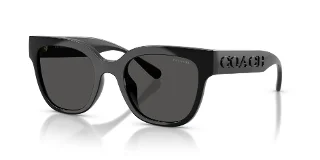 Coach Sunglasses HC8460U