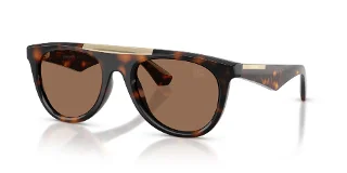 300273 Dark Havana