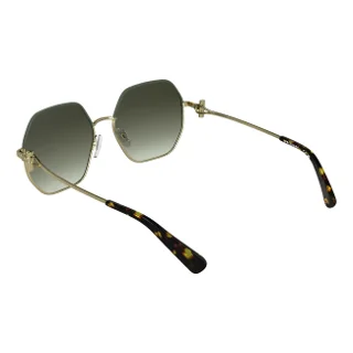 Longchamp Sunglasses LO191S