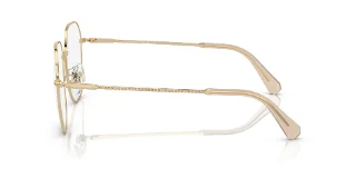 Swarovski Eyeglasses SK1009D