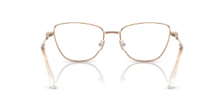 Swarovski Eyeglasses SK1018