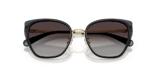 Coach Sunglasses HC7187
