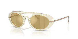 Giorgio Armani Sunglasses AR8256