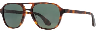 C04 Tortoise