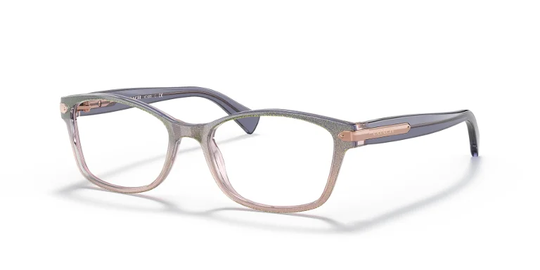 Coach Eyeglasses HC6065