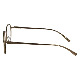 Salvatore Ferragamo Eyeglasses SF2229