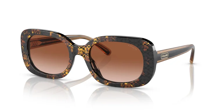 Coach Sunglasses HC8358U