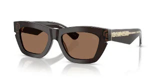 411673 Brown