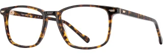 C02 Tortoise / Gold