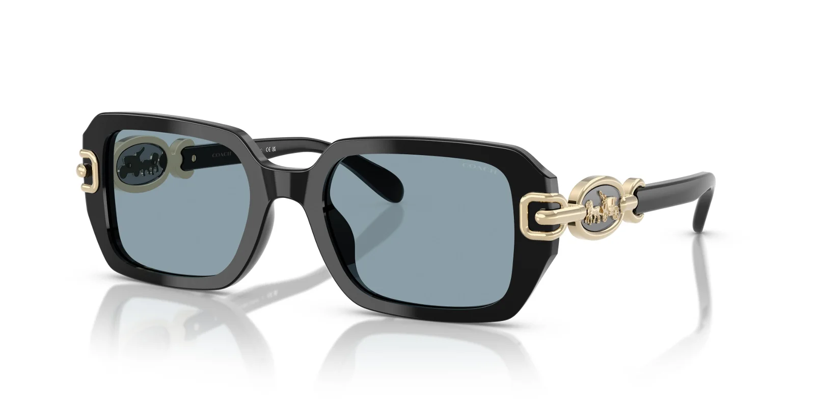 Coach Sunglasses HC8425U