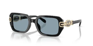 Coach Sunglasses HC8425U
