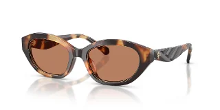 206673 Contrast Tortoise