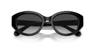 Swarovski Sunglasses SK6005