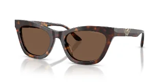 502673 Shiny Havana