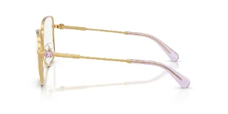 Swarovski Eyeglasses SK1036