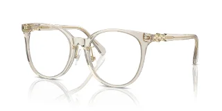 Swarovski Eyeglasses SK2027D