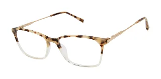 Ted Baker Eyeglasses TFW009