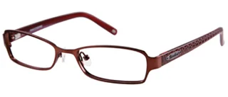 Skechers Eyeglasses SK 2025