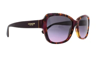 Coach Sunglasses HC8160 L145