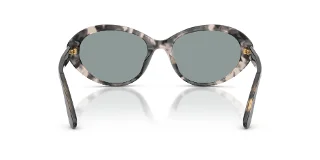 Dolce & Gabbana Sunglasses DG4570