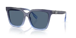 317880 Navy Gradient