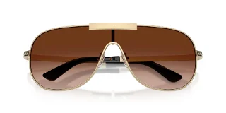 Versace Sunglasses VE2293