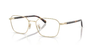 9005 Shiny Light Gold