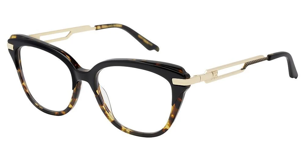 Alan J Eyeglasses C&B Companion