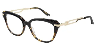 Alan J Eyeglasses C&B Companion