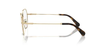 Swarovski Eyeglasses SK1011