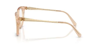 Swarovski Eyeglasses SK2059