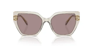 Swarovski Sunglasses SK6016
