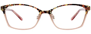 Easyclip Eyeglasses EC484