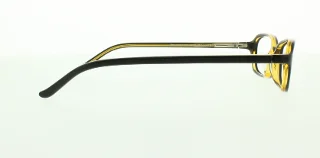 Polo Eyeglasses PP8502