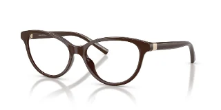 8402 Shiny Dark Brown