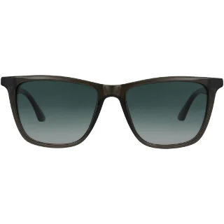Forest Green Tortoise