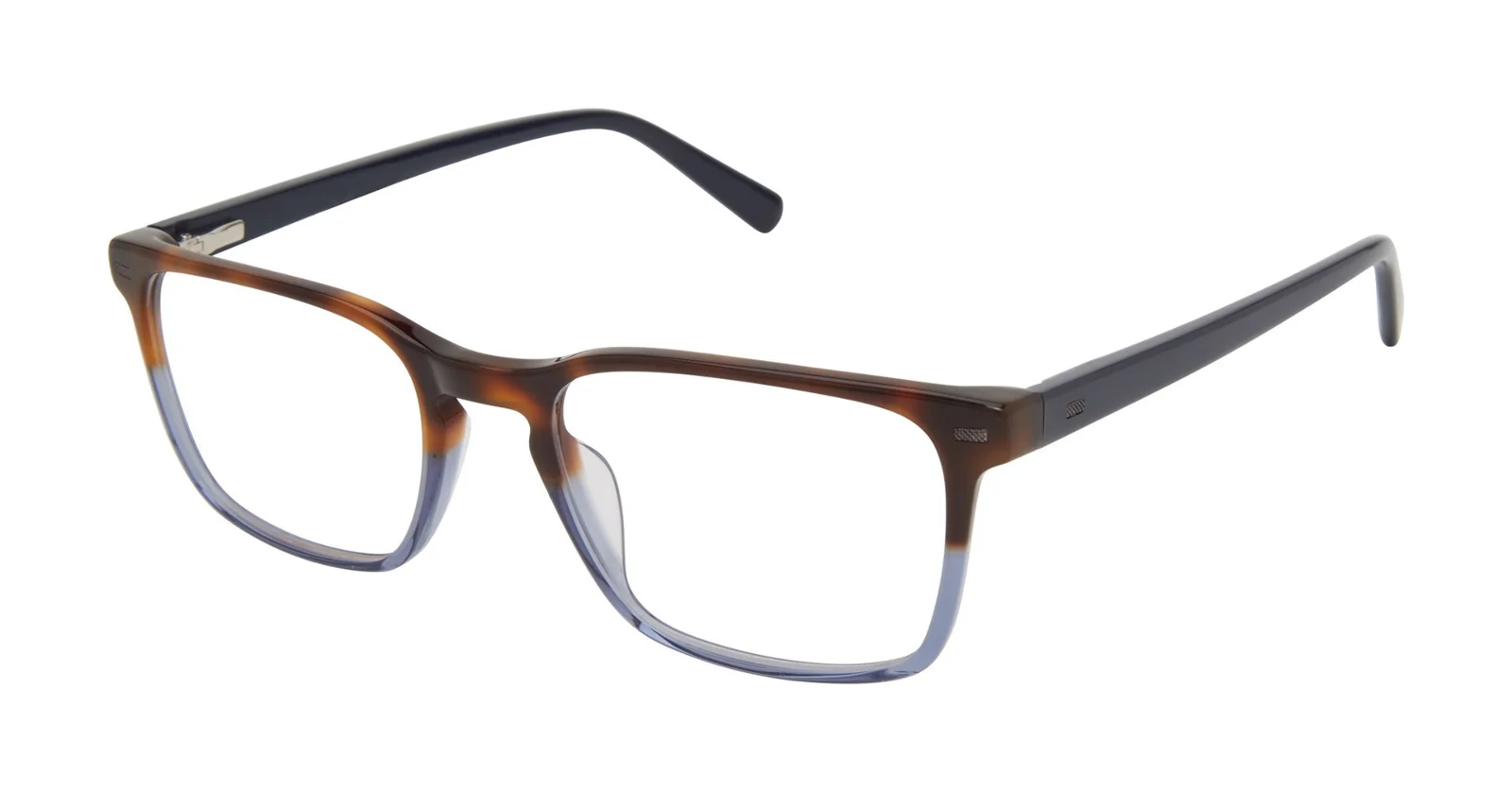 Ted Baker Eyeglasses TM008