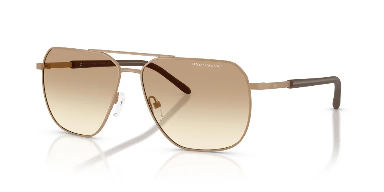 Armani Exchange Sunglasses AX2057S