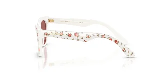 Dolce & Gabbana Sunglasses DX4427