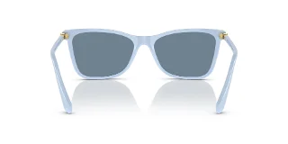 Swarovski Sunglasses SK6004F
