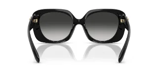 Coach Sunglasses HC8422U