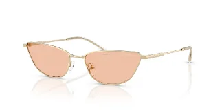 301393 Shiny Pale Gold