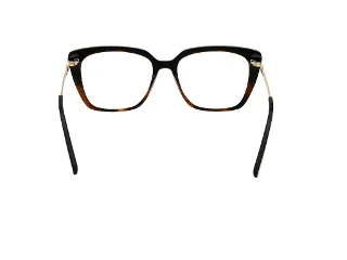 Harley Davidson Eyeglasses HD50119
