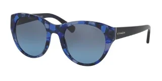 Coach Sunglasses HC8167F