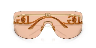 Dolce & Gabbana Sunglasses DG2320