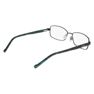Dkny Eyeglasses DK3009