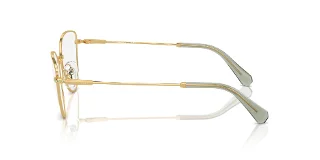 Swarovski Eyeglasses SK1012